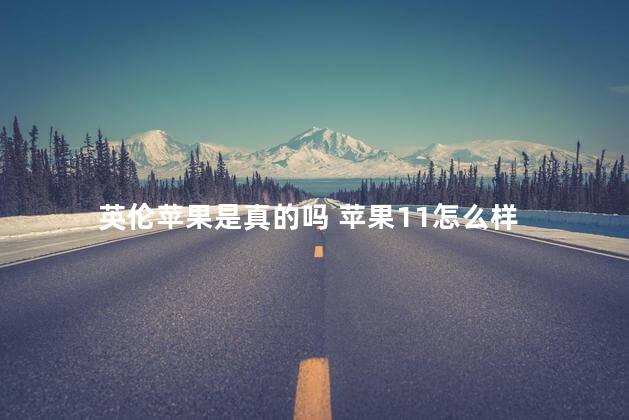 英伦苹果是真的吗 苹果11怎么样